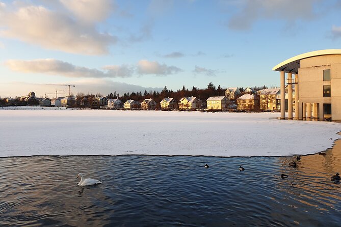 2-Hour Reykjavik Private Walking Tour - Harpa Concert Hall: architecture you can’t ignore