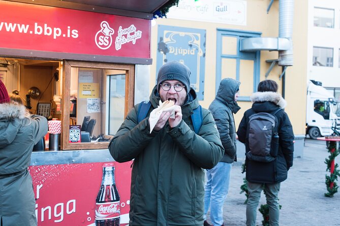 2-Hour Reykjavik Private Walking Tour - Price and who this tour is best for (up to 15)