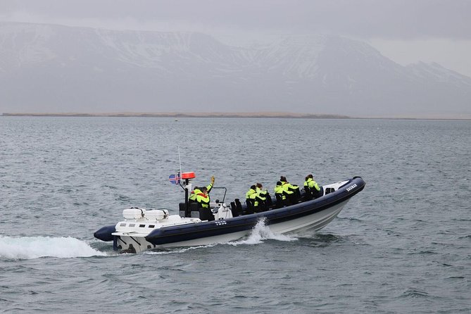 2-Hour RIB Boat Whale Watching Tour from Reykjavik - Key highlights worth your attention