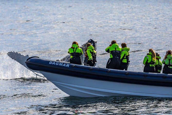 2-Hour RIB Boat Whale Watching Tour from Reykjavik - The ride experience, speed, comfort seats, and when to sit out