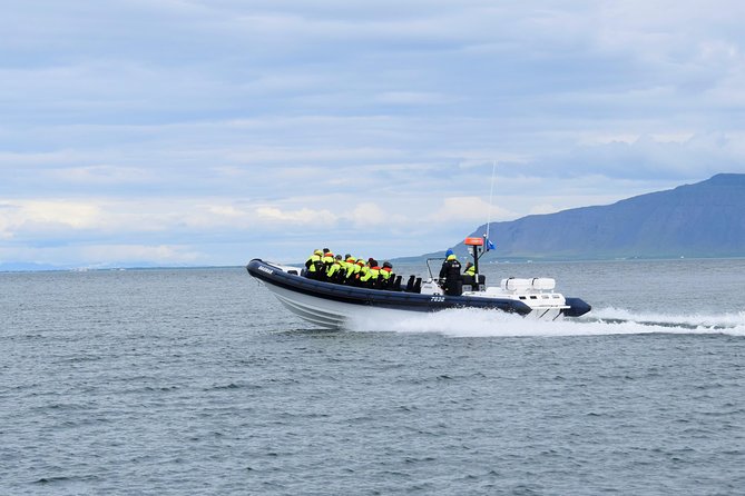 2-Hour RIB Boat Whale Watching Tour from Reykjavik - Price and value at $189.87, what you actually get for the money