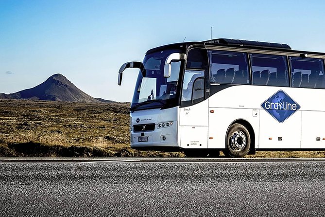 Airport Express Shared Arrival Transfer from Keflavik Airport to Reykjavik Hotels - Hotel Drop Off in Reykjavik: Why You Might Need a Minibus