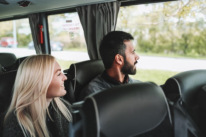 Airport Transfer in Iceland from Keflavik Airport to Reykjavik City With Hotel Drop Off - Green SmartBus Hotel Drop-Off, and Why the Stop Matters
