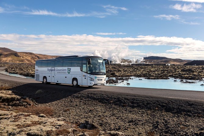Blue Lagoon Return Bus Transfer from Reykjavik - Driver Help and Customer Service: The Part That Makes It Feel Easy