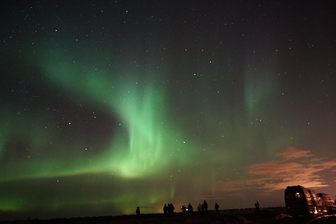 Chasing Aurora Borealis with Warmth and Treats in Premium Tour! - Warm Treats and Wi-Fi While You Wait for the Sky