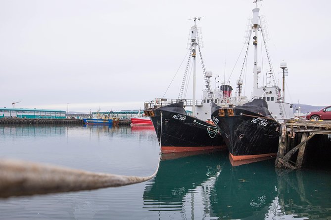 City Sightseeing Reykjavik Hop-On Hop-Off Bus Tour: 24 or 48-Hour - Who this tour fits best