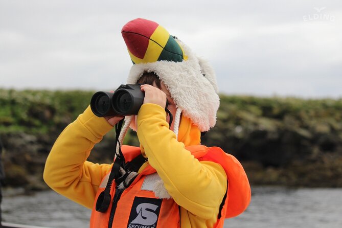 Classic Puffin Watching Cruise from Downtown Reykjavík - Price and Value: Is $60 Worth It?