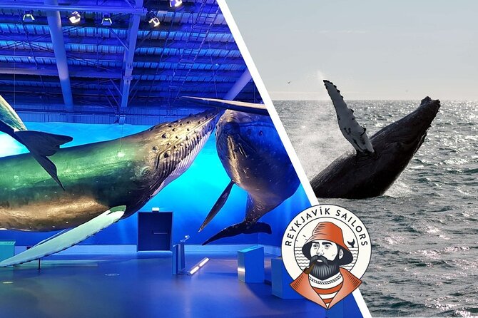 Deluxe Whale Watching and Whales of Iceland Exhibition Combo from Reykjavik - What you’ll do after the boat: Whales of Iceland museum in one ticket