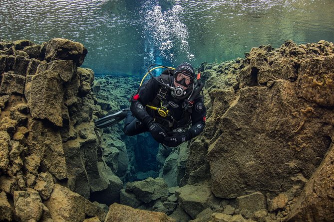 Dive the Divide: Silfra Fissure Scuba Tour | Reykjavik Pickup - Cold Water, Safety Briefing, and the Experience Requirement