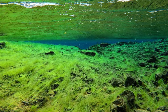 Freedive Silfra Half Day Tour - Thingvellir and Silfra, the setting that makes this worth your time