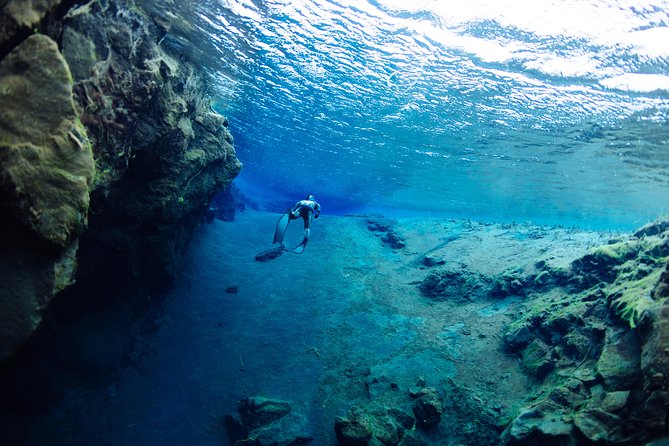 Freedive Silfra Half Day Tour - The water session at Silfra: clarity, currents, and what to expect