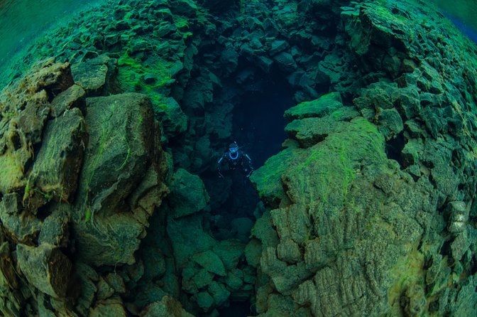 Freedive Silfra Half Day Tour - Price and value: what $233.50 really buys you