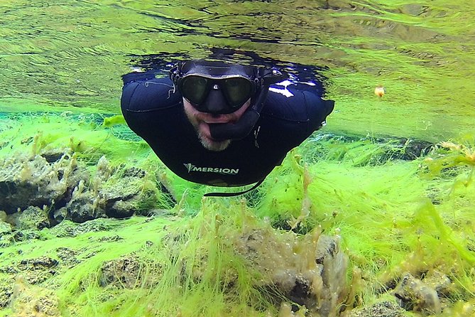 Freedive Silfra Half Day Tour - Who this tour is best for, and who should rethink it