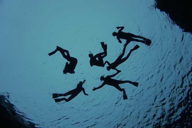 Freedive Silfra Half Day Tour - Small group size: why max 6 travelers feels like a feature