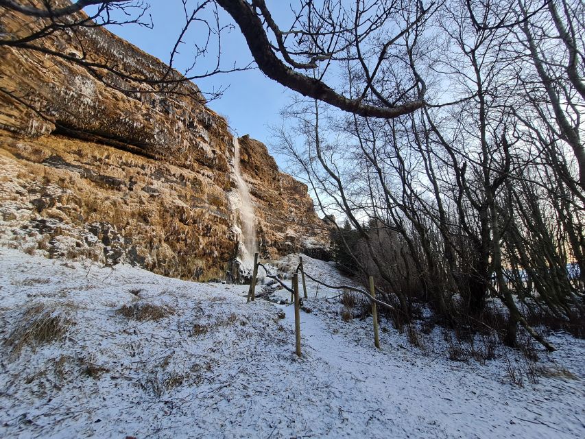 From Reykjavik: Explore the Waterfalls of the South Coast - Thorsteins Grove: Your First Photo Stop With Time to Look