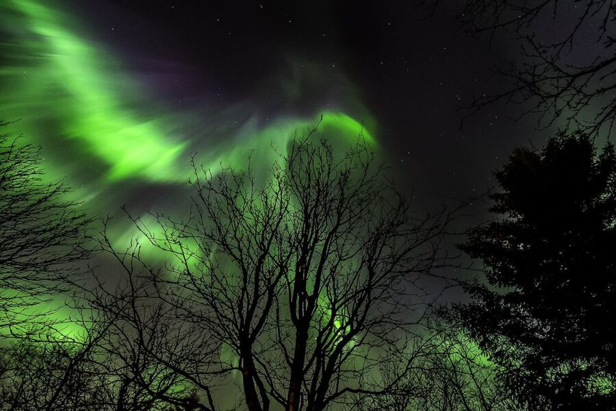 From Reykjavik: Golden Circle and Northern Lights Tour - The Midday Break: Dinner Timing and the Aurora Mood