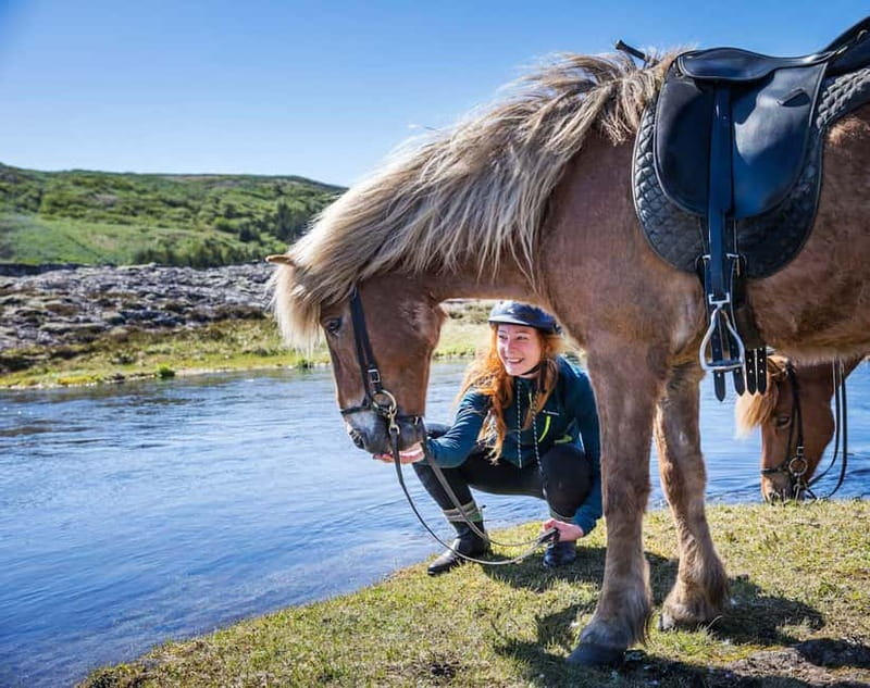 From Reykjavík: Icelandic Horse Riding Tour in Lava Fields - Key Highlights You Will Actually Notice
