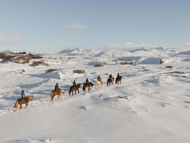 From Reykjavík: Icelandic Horse Riding Tour in Lava Fields - Why Horseback Lava Fields Beat Reykjavik Traffic