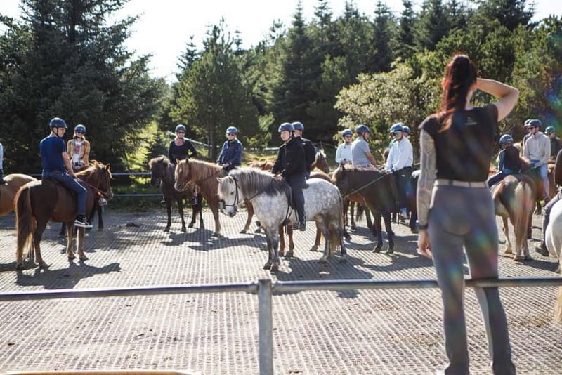 From Reykjavík: Icelandic Horse Riding Tour in Lava Fields - The Ride: Lava Fields, Green Hillsides, and the Tölt Gait
