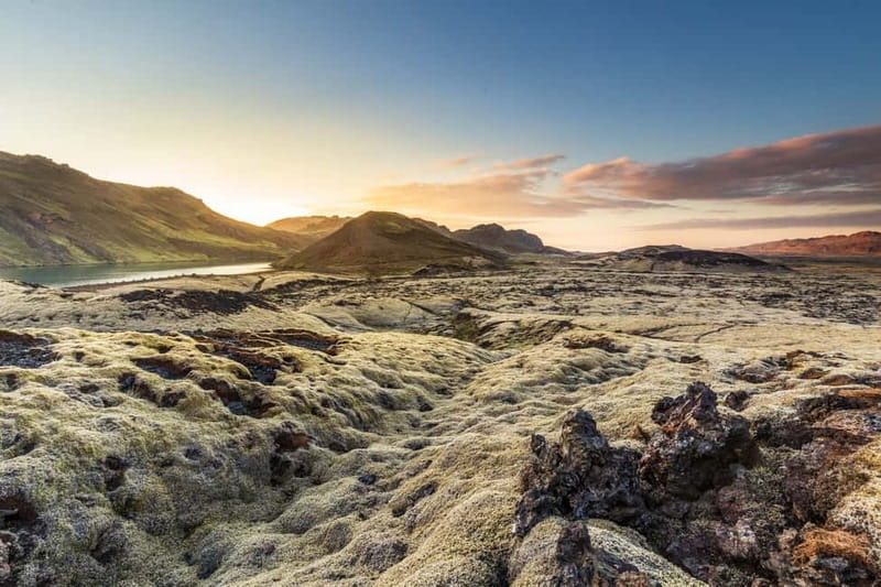 From Reykjavík: Icelandic Horse Riding Tour in Lava Fields - Price and Value at $141 per Person