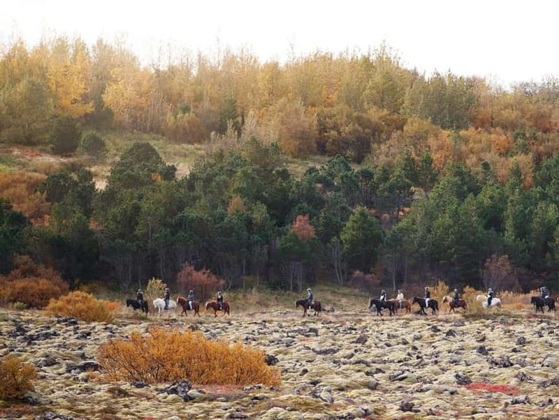 From Reykjavík: Icelandic Horse Riding Tour in Lava Fields - Should You Book Íshestar Horse Riding Through Lava Fields?