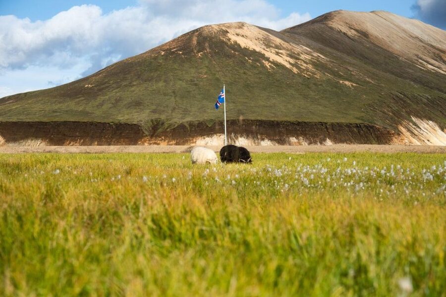 From Reykjavík: Landmannalaugar Day Hike - Natural Hot Springs Soak: How to Pack for the Best Finish