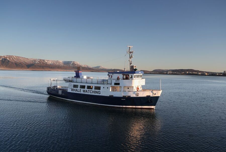 From Reykjavik: New Years Fireworks by Boat - Why New Year’s fireworks feel better on the Arctic Rose