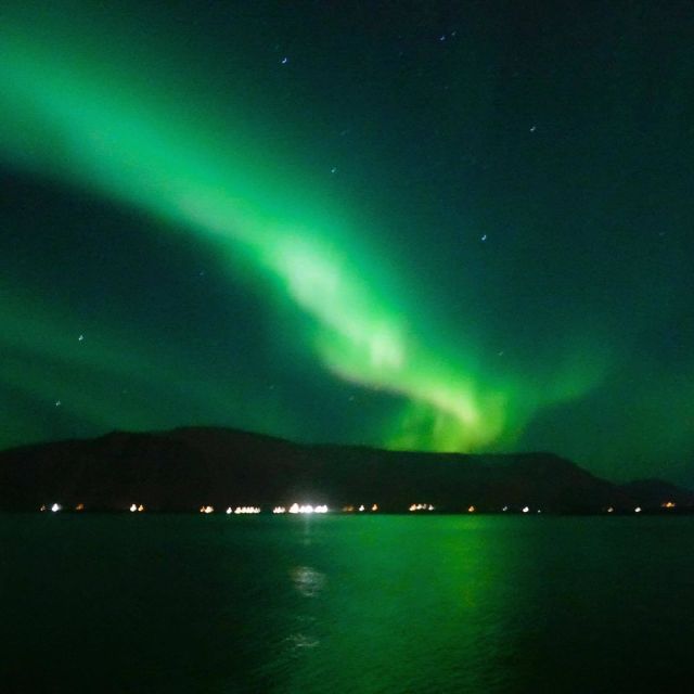 From Reykjavik: Northern Lights Boat Cruise - When the Aurora Does Not Show: Your Best Backup Plan