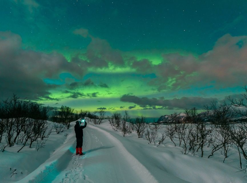 From Reykjavik: Northern Lights Chase with Expert Guide - Where the Tour Gets You, and Why Lighthouses and Peninsula Stops Show Up