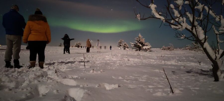 From Reykjavik: Northern Lights Chase with Expert Guide - How Your Guide Chooses Where to Look in Iceland’s Countryside