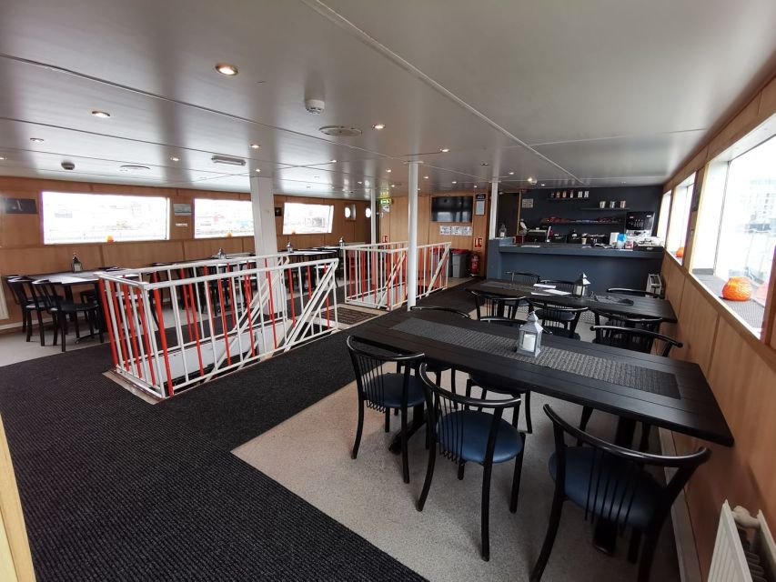 From Reykjavik: Northern Lights Sightseeing Cruise - Key things I’d watch for on this cruise
