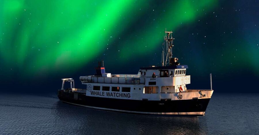 From Reykjavik: Northern Lights Sightseeing Cruise - Why a Reykjavik Northern Lights cruise beats the usual bus rides