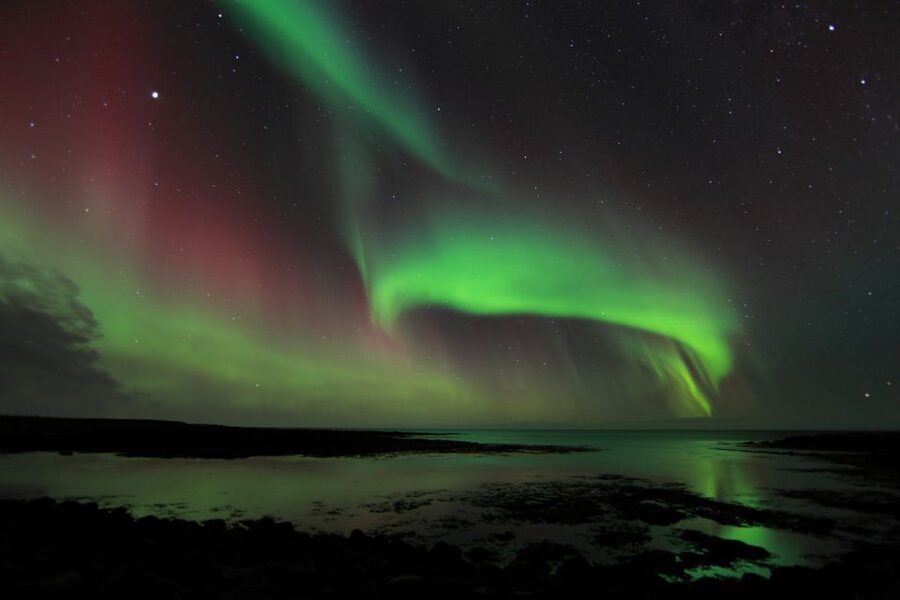 From Reykjavik: Northern Lights Tour - Key things I’d plan for