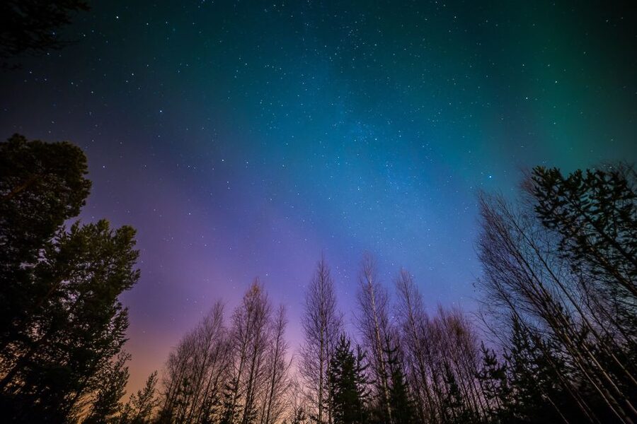 From Reykjavik: Northern Lights Tour - The 9:00 PM departure and the on-site comfort plan