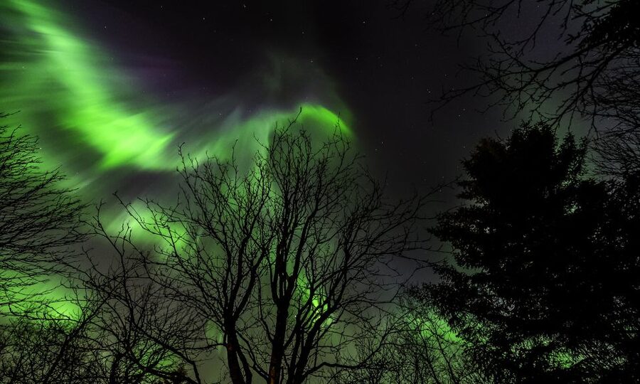 From Reykjavik: Northern Lights Tour with Lifetime Guarantee - The Secret Stop: Where the Guide Helps You See Faster