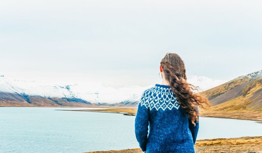 From Reykjavik: Snæfellsnes Full-Day Tour with Homemade Meal - Buðarkirkja Black Church: A Cultural Stop That Works Even If You Usually Skip Them