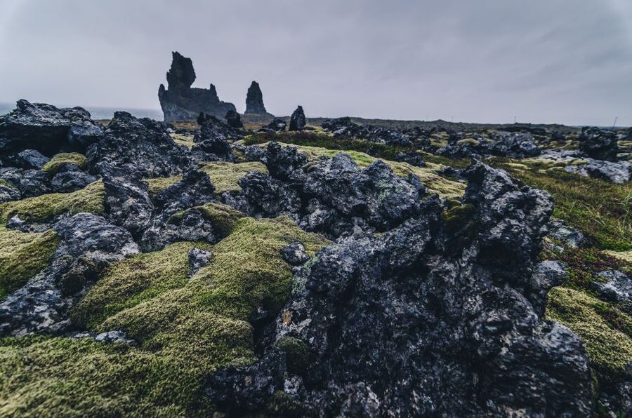 From Reykjavik: Snæfellsnes Full-Day Tour with Homemade Meal - Ytri Tunga Seal Beach: A Wildlife Moment to Break Up the Rock and Ice