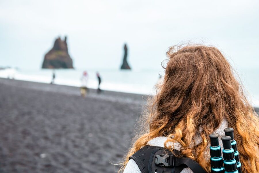 From Reykjavik: South Coast Full-Day Trip - Small-group touring on a minibus up to 19: the comfort and timing tradeoff