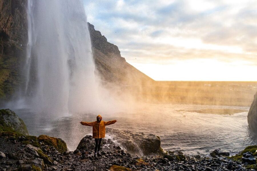From Reykjavik: South Coast Tour & DC-3 Plane Wreck - Dyrhólaey Cliffs: The Sea Arch View And Puffins In Season