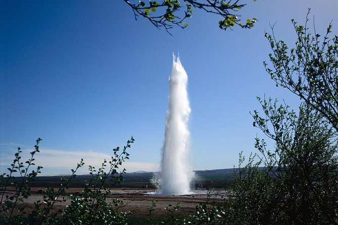 Golden Circle 7 Hours Bus Tour from Reykjavik - Food and Drinks: Plan for the Reality of an Express Tour