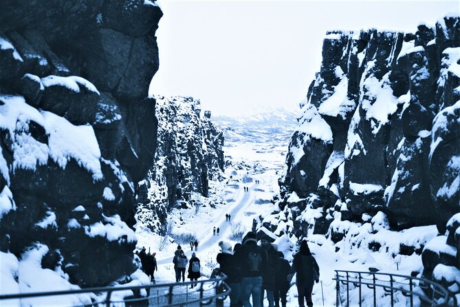 Golden Circle, Fridheimar Farm & Horses Small Group Tour from Reykjavik - Þingvellir National Park: tectonic plates plus Iceland’s first parliament