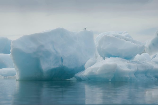 Guided Glacier Lagoon and Diamond Beach Day Trip from Reykjavik - Diamond Beach: The Ice Sparkle Moment on Black Sand