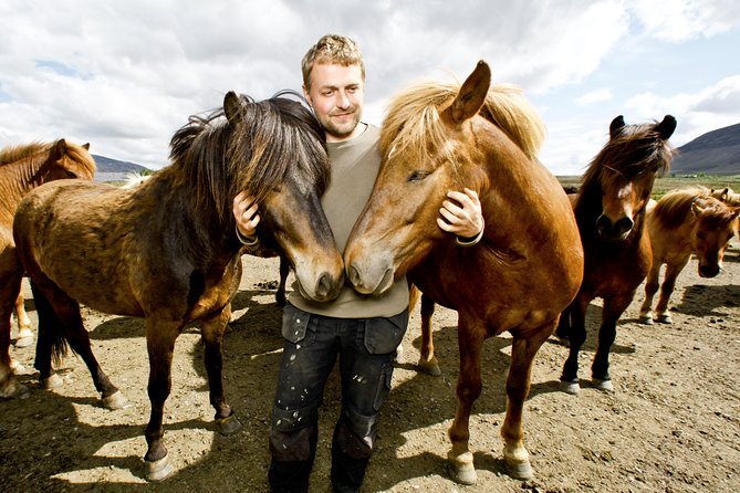 Icelandic Horseback Riding Tour Including Pick Up from Reykjavik - Icelandic Horses Close to Reykjavik: What the 3.5 Hours Feels Like