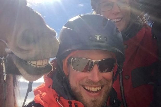 Icelandic Horseback Riding Tour Including Pick Up from Reykjavik - Price and Value: What $152.37 Really Buys You