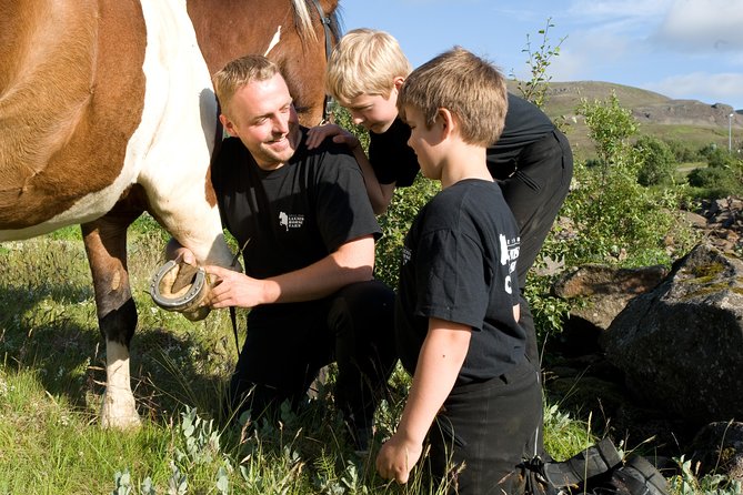 Icelandic Horseback Riding Tour Including Pick Up from Reykjavik - Who This Tour Suits, and Who Should Reconsider