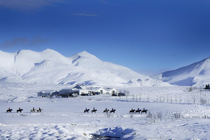 Icelandic Horseback Riding Tour Including Pick Up from Reykjavik - Weather Reality Check and Safety Notes