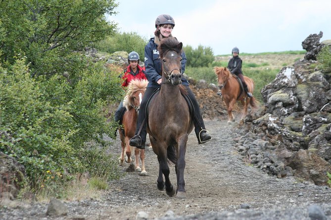 Icelandic Horseback Riding Tour with Pickup Option from Reykjavik - Key things to know before you book