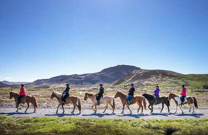 Icelandic Horseback Riding Tour with Pickup Option from Reykjavik - Reykjavik pickup, meeting point, and the short ride to the stables