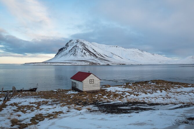 Icelands Reykjavik Self Guided Walking Audio Tour - Ingólfur Arnarson: dragon head lore and what it meant to Vikings
