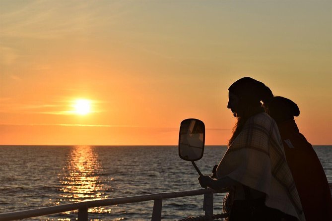Magical Whales in the Midnight Sun | from Reykjavik - Key Things You Should Know Before You Go